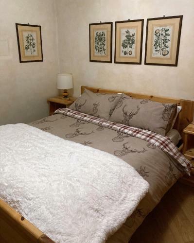 Apartamento Bilocale Centrale - Holidays House