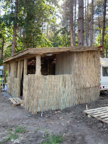Forest Beach Caravan