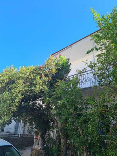 Apartman Sutomore