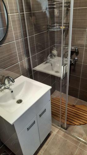 Apartman Studio Arilje