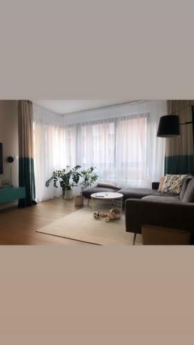New City Center Apartment