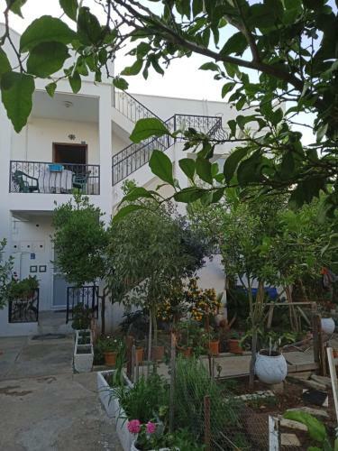 Large And Quite House In Bodrum Center