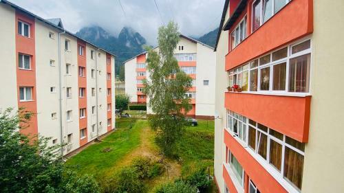 Oli's Mountain Apartment