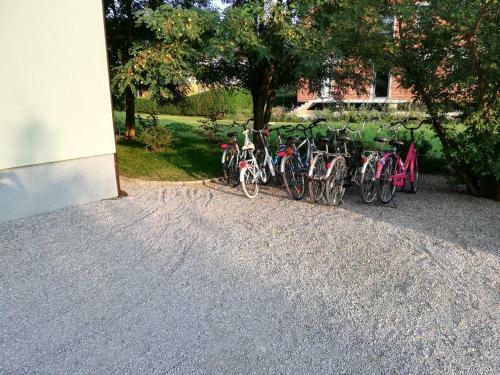 All Seasons - Hostel