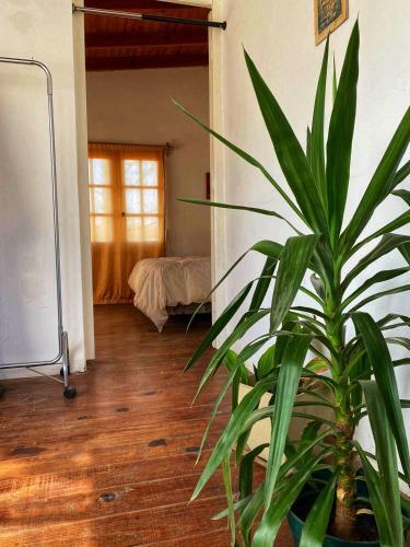 Apartamento El Paseo Day