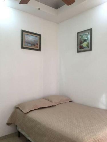 Omoa?s House- House Ahar�