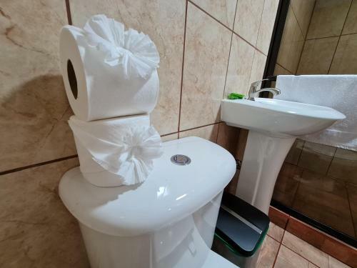 Bed & Breakfast Osa Corcovado Lodge