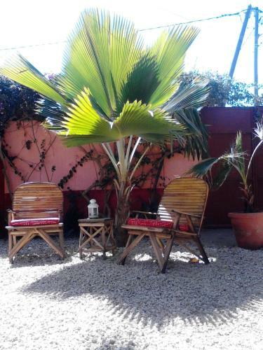 Bed & Breakfast Baobab Belge