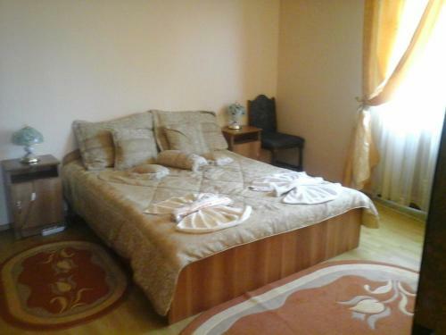 Hostal Pensiunea Georgiana