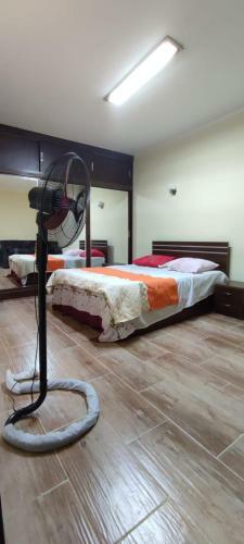 Florenza Diamond Apartments, Studios And Rooms