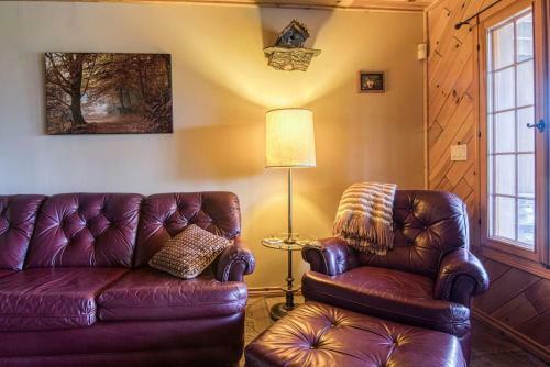 Pine Ridge Log Home With Lake View And Backyard