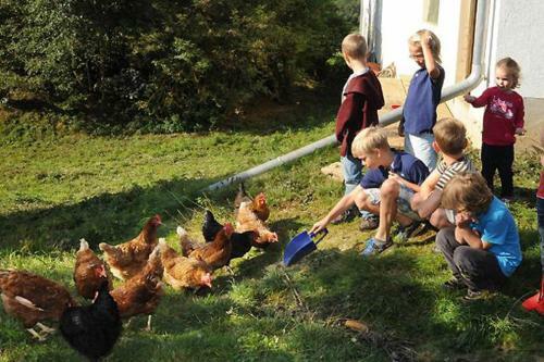 Exenbacher Hof Traumbauernhaus S�haisl