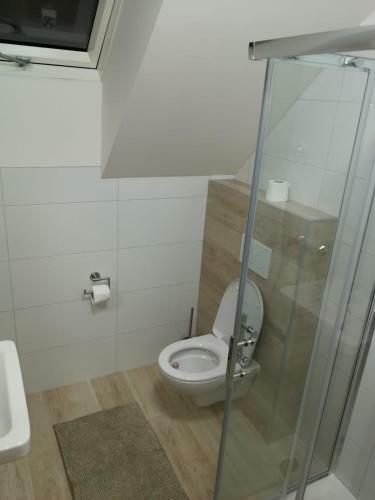 Hostal Penzion Starovice