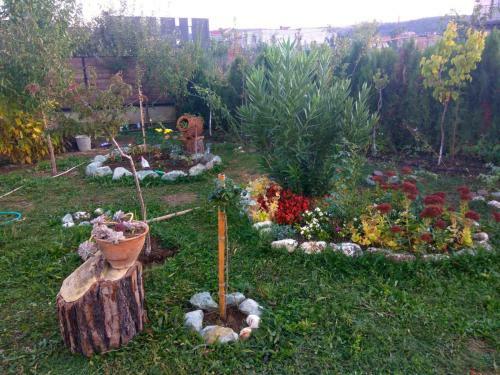 Dream Villa Lisi