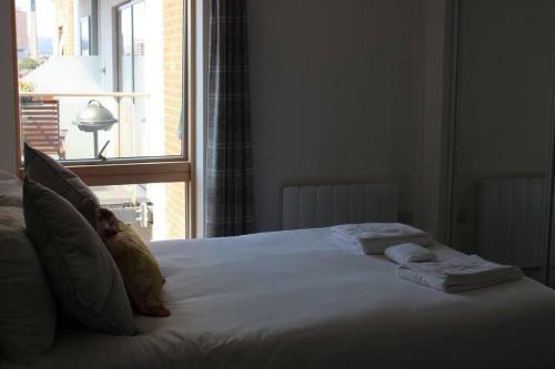 Central Luxury Apartment