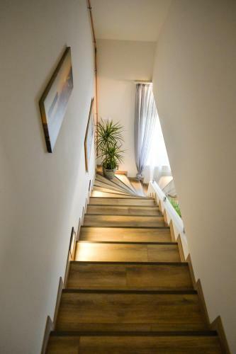 Apartamento F�ldi Paradicsom Vend�gh�z