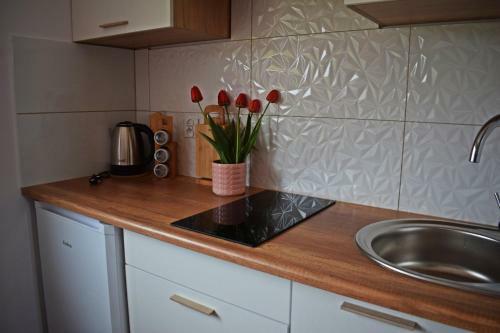 Apartament Domowe Zacisze
