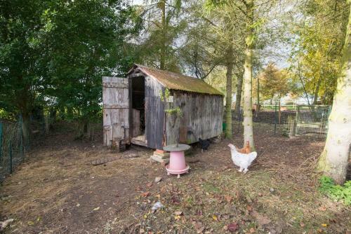 Valley Farmhouse B&B