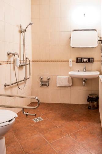Hotel U Hejtmana ?arovce
