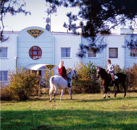 Wellness Hotel Synot