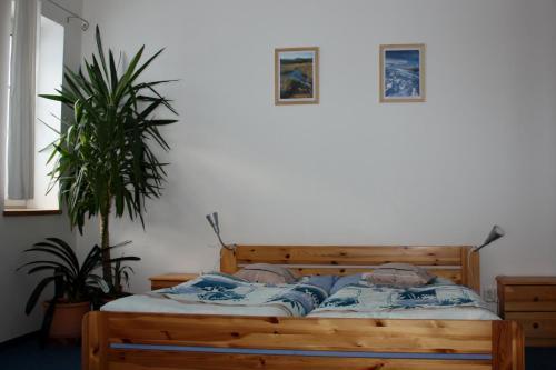 Apartm�ny Doma