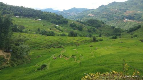 Bed & Breakfast River Mountain View Homestay