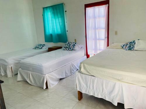 Hostal Departamento Con Alberca