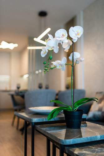 Apartamento Sky Symphony