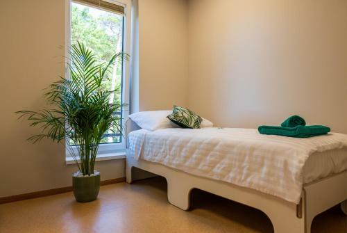 Posada J�esuu Guesthouse