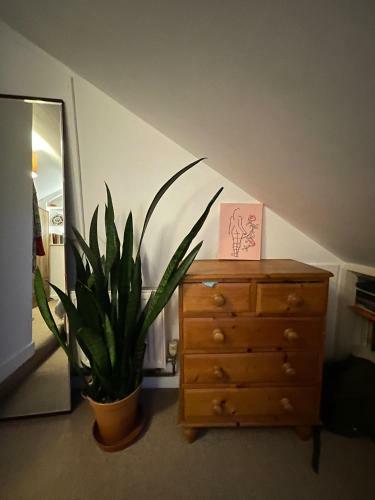 Lovely 2 Bedroom Apartment In Brighton