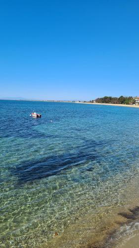 Apartamento Kalybeach Studio