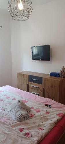 Apartamento Rr