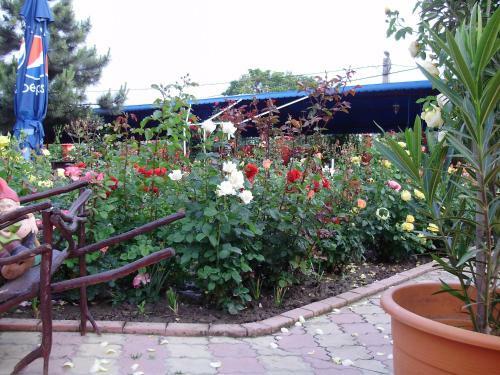 Hostal Pension Casa Margo