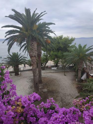 Apartmani Juradin 7