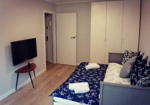 Apartament Studio 11