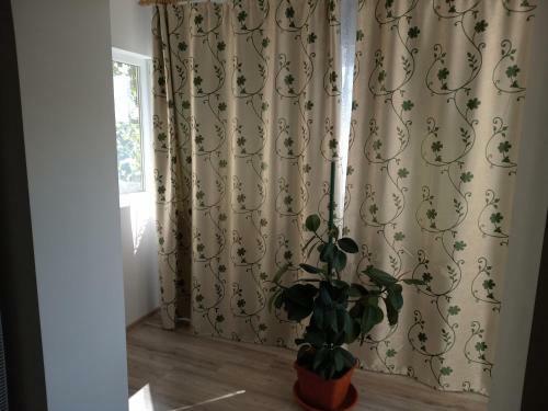 Apartament Alyn