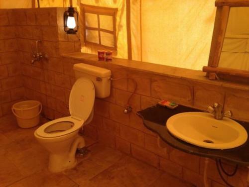 Golden Marigold Desert Camp