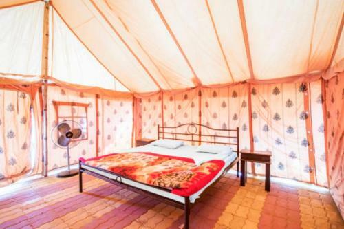 Golden Marigold Desert Camp