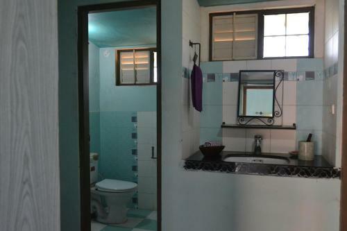 Villa Beautiful 4br Farmhouse With Pool And Jacuzzi In Jaipur