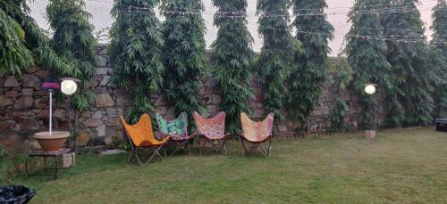 Villa Beautiful 4br Farmhouse With Pool And Jacuzzi In Jaipur