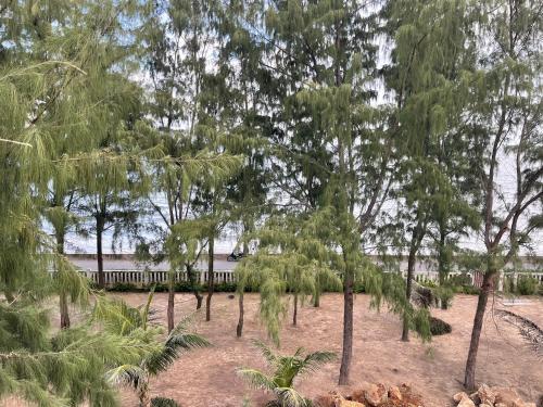 Apartamento Zenna Villas-mimosa 601