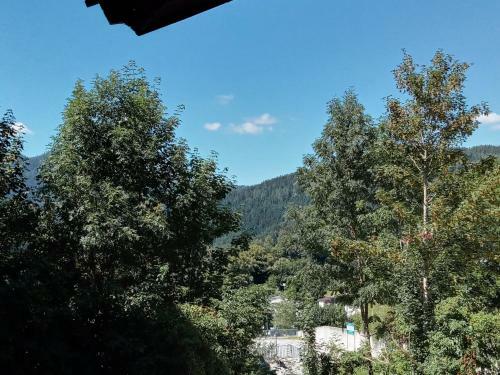 Apartamento Ferienwohnung In Mariazell