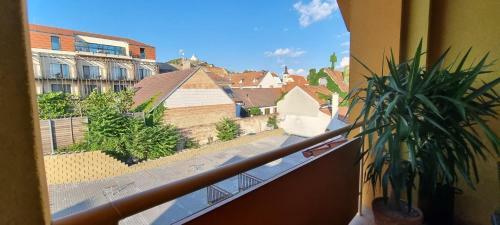 Apartm�n Viktorie