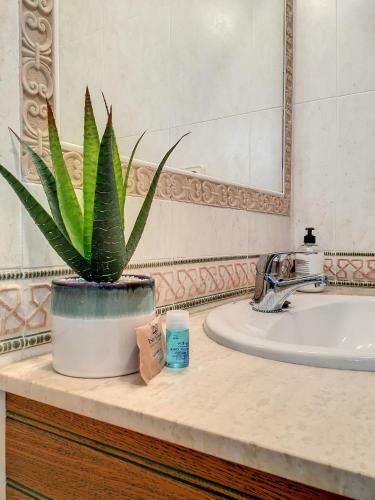 Apartamento Cala Azul -7909