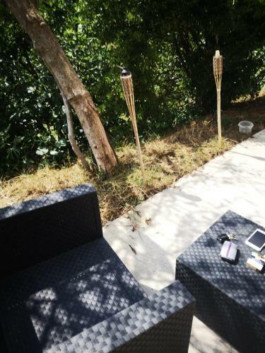 House Stellissima