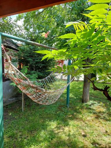 Hostal Botezatu Aurelia