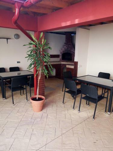 Hostel Nina