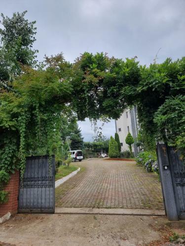 Alsaleh Villa