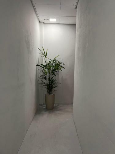 Apartamento Hostel On Gru