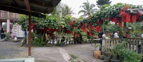 Hostal Talaga Tomohon